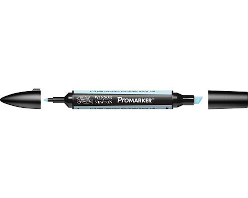 PENNARELLO PROMARKER PUNTA DOPPIA SCALPELLO E FINE A BASE DI COOL AQUAC429