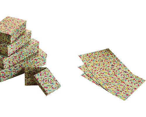 FLORENTIA CARTA DA REGALO cm. 70 x 100 BLISTER 10 FF