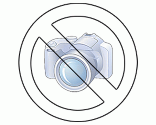 NASTRO PER SIGILLATRICE SACCHETTI (B24) 