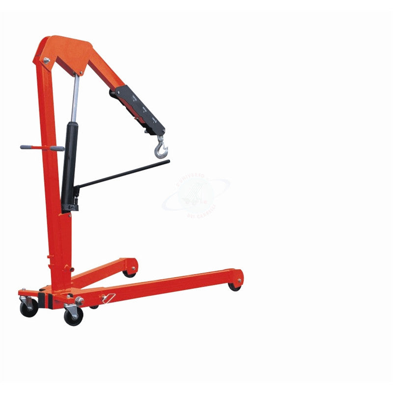 GRU 1000Kg POMPA DOPPIO EFFETT0 - RICHIUDIBILE